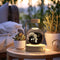 Crystal Ball Cosmic Dinosaur Indoor Night Light USB Power Warm Bedside Light Birthday Gift Night Lamp