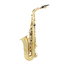 Eb Alto Saxophone Brass Lacquered Gold Professional Woodwind Instrument E Flat Sax With Case Strap Musical Instrument Parts