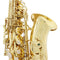 Eb Alto Saxophone Brass Lacquered Gold Professional Woodwind Instrument E Flat Sax With Case Strap Musical Instrument Parts