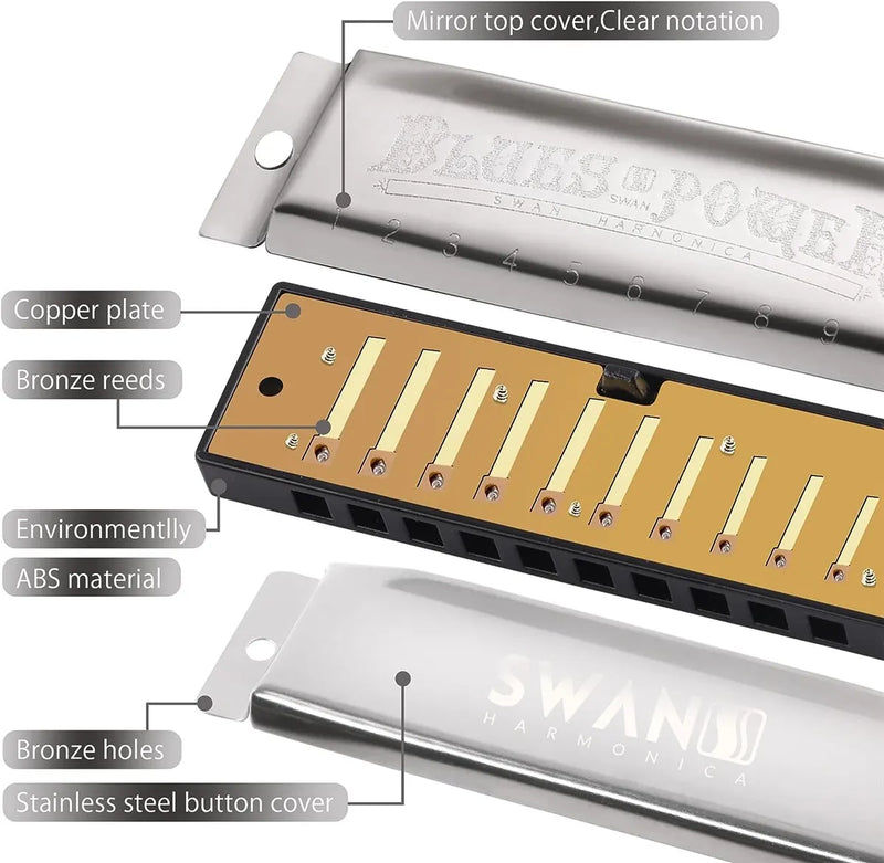 Harmonica Senior Bruce 10 Hole BLUES with Case Brass Stainless Steel