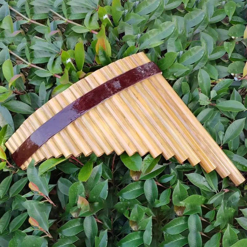 22 Pipe Pan Flute Professiona Chinese Bamboo Pan Flute Traversa Flute Woodwind Chinese Vertical Flute Accardion Pan Flute Bag